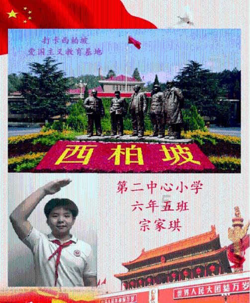 萌犬找不同